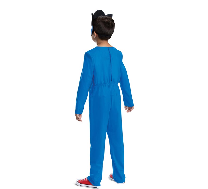 Disfarce de Carnaval- Sonic