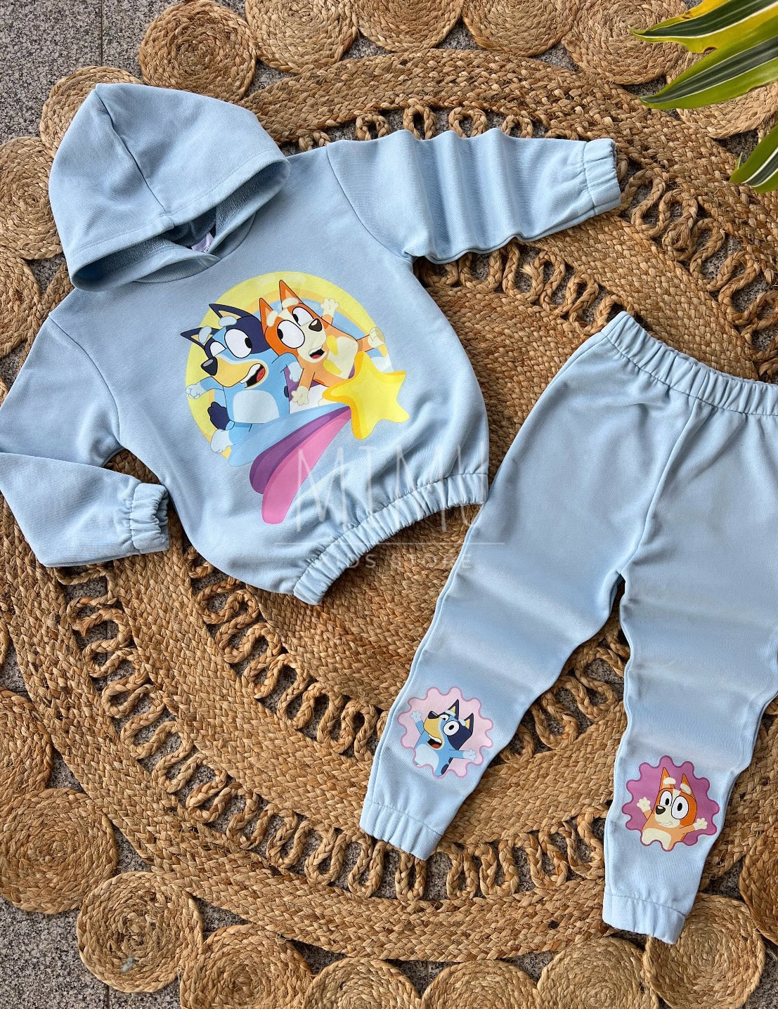Bluey Set