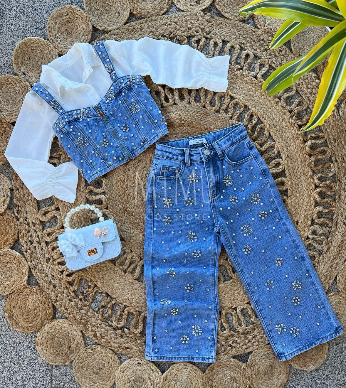 Mirela Set and Cropped Blouse with Sparkles (items purchased individually)