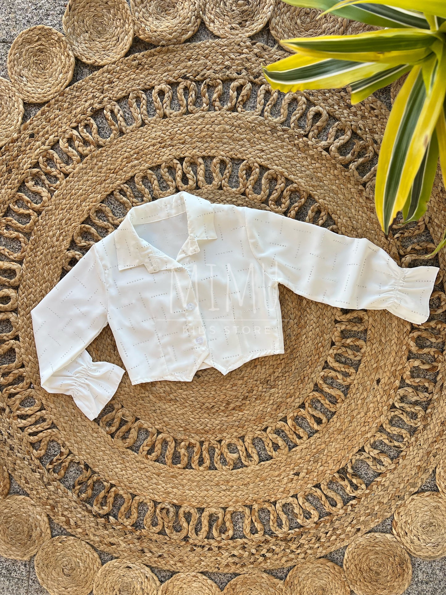 Mirela Set and Cropped Blouse with Sparkles (items purchased individually)