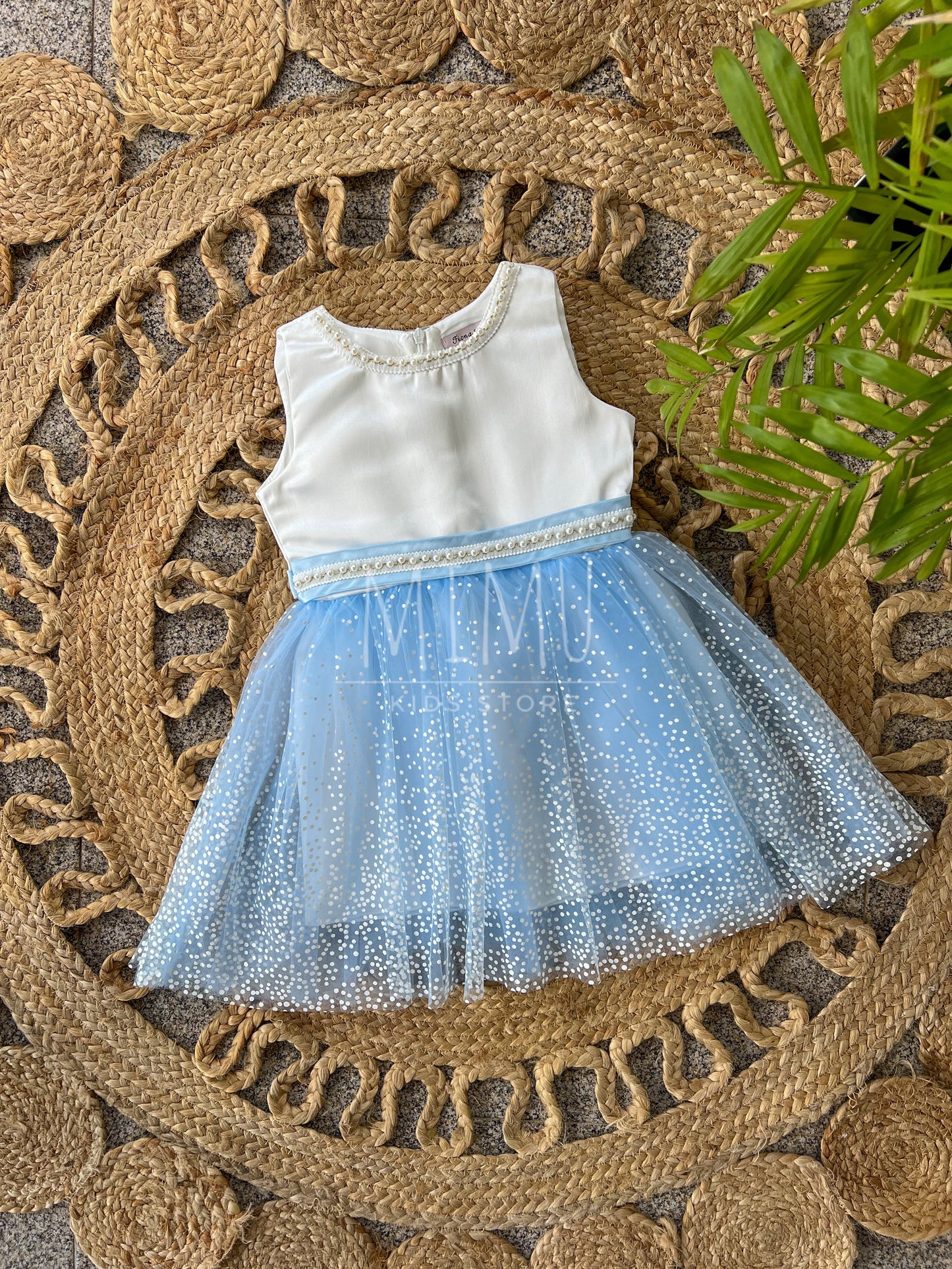 Cinderella dress