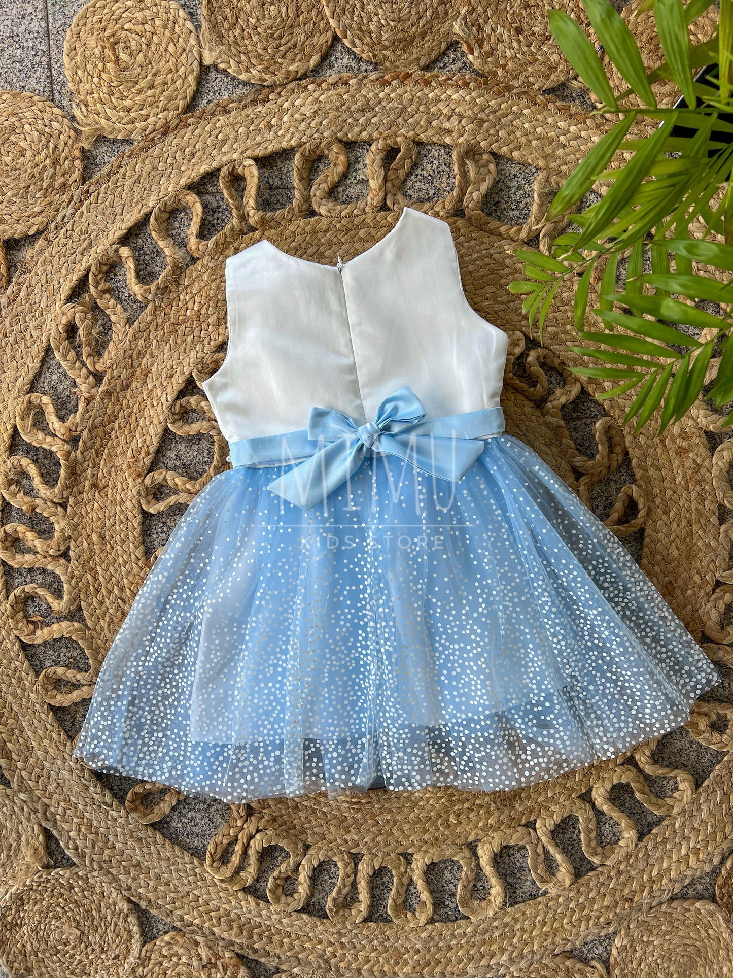 Cinderella dress